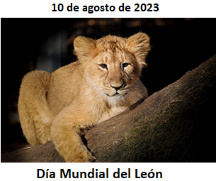 foto.png